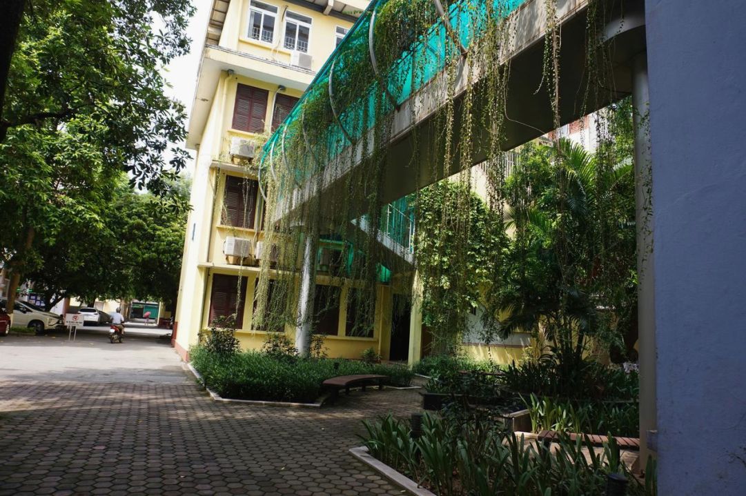 Strata corridor repair