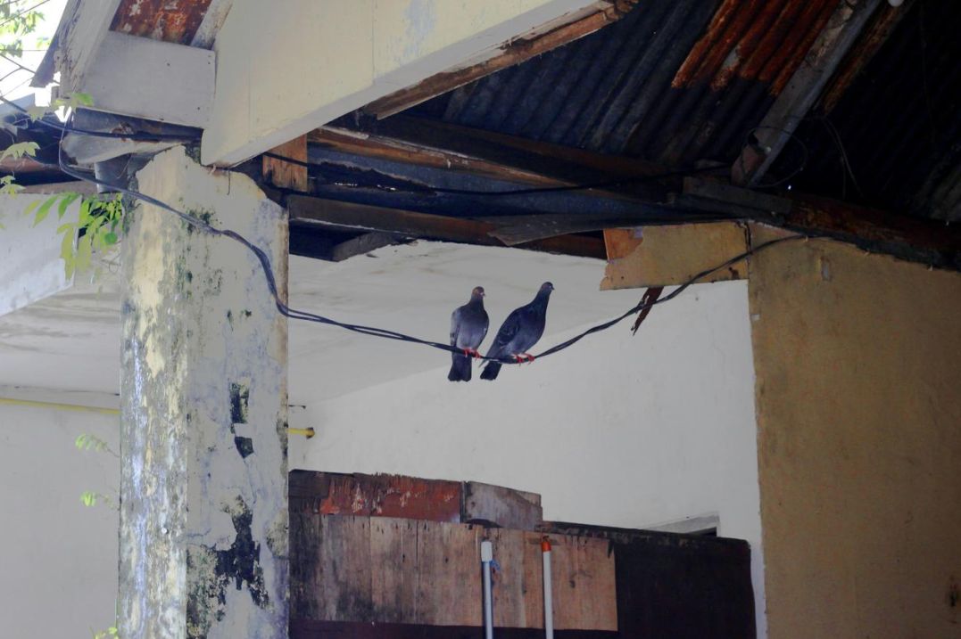 Kitchen and bathroom repairs